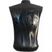 Chemise sans manche  loup en fort et attrape rves amrindien