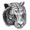 Bague homme en acier  tte de tigre