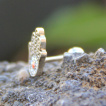 Piercing cartilage Hamsa pavé de strass