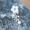 Piercing hlix fleurs  strass et papillon