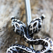 Piercing industriel  serpent bicphale