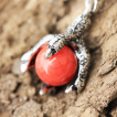 Piercing nombril griffe de dragon à orbe rouge