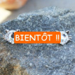 Piercing téton chats brillants