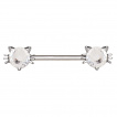 Piercing téton chats brillants