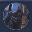 Portefeuille-long à Chat noir et balai de sorcière - Lisa Parker