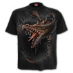 T-shirt enfant  dragon dchirant le vtement