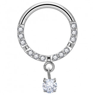Anneau charnire en Titane  arcs de zirconiums bords et zirconium en pendentif (septum et oreille)