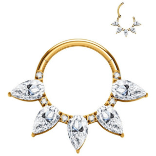 Anneau charnire Titane dor  ptales de zirconiums (septum, daith...)