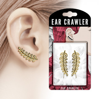 Barrettes d'oreilles à rameau d'olivier doré