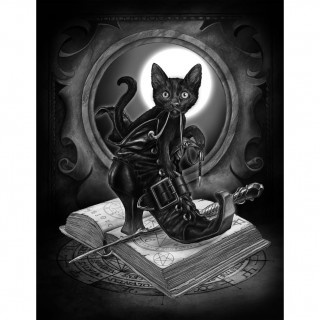 Carte postale Effets 3D  chat noir et grimoire - Alchemy