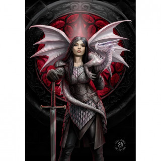 Carte postale Effets 3D  guerrire aux dragons - Anne Stokes