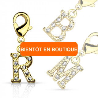 Charm's plaqu or  lettre alphabet pave de strass