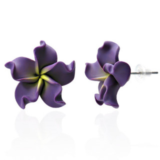 Clous d'oreilles  fleur exotique en fimo REF-8768