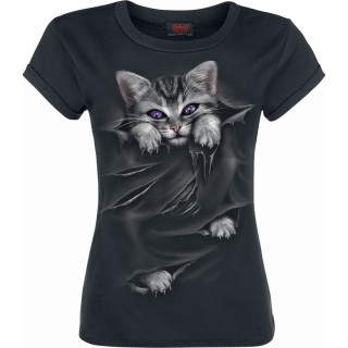 Débardeur femme avec chat gris à griffes sorties et déchirures