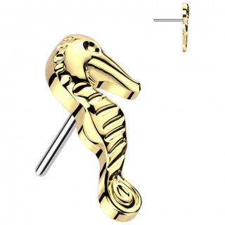 Embout de piercing Hippocampe dor en Titane (pour tige push-in)