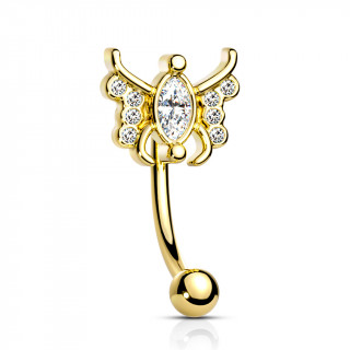 Piercing arcade papillon stylis dor