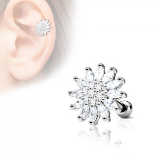 Piercing cartilage fleur clatante