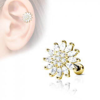 Piercing cartilage fleur clatante - Dor