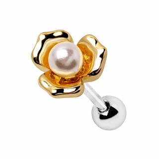 Piercing cartilage oreille  St Jacques dore perle