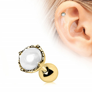 Piercing cartilage tragus hlix dor  perle blanche