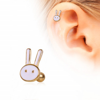 Piercing cartilage tragus hlix dor  tte de lapin