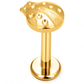 Piercing Coccinelle en Titane dor pour lvre et oreille ( filetage interne)
