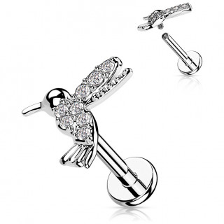 Piercing colibri pav de strass (lvre, hlix, flat...)