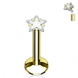 Piercing dor  strass toil et filetage interne (lvre, cartilage...)