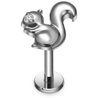 Piercing Ecureuil l�vre et oreille en Titane (� filetage interne)