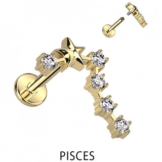 Piercing hlix dor signe astrologique Poisson