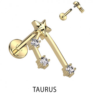 Piercing hlix dor signe astrologique Taureau