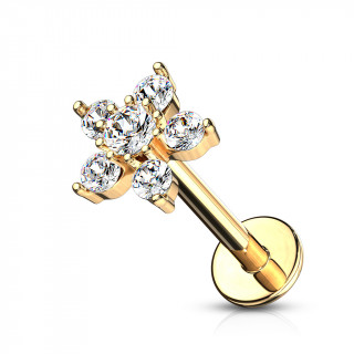 Piercing labret dor  toile zirconiums (hlix, lobe, lvre...)