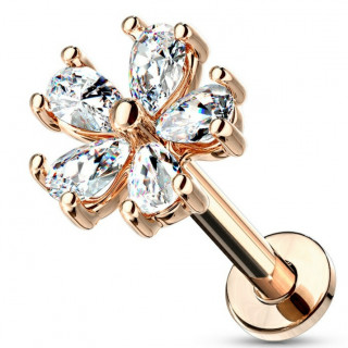 Piercing labret / cartilage fleur  cinq ptales zirconium - Plaqu or rose