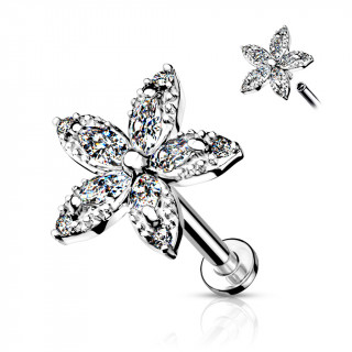 Piercing labret / cartilage  fleur de marquises - Argent