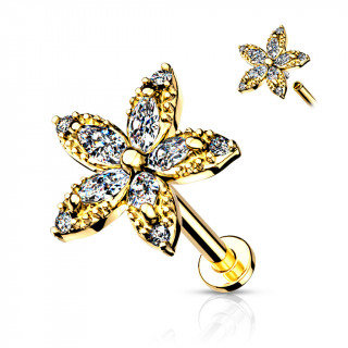 Piercing labret / cartilage  fleur de marquises - Plaqu or jaune