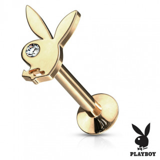Piercing labret lapin Playboy - Dor (filetage interne)