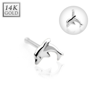 Piercing nez stud  dauphin en or blanc 14 carats