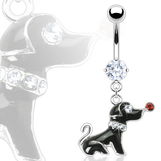 Piercing nombril chien coquet