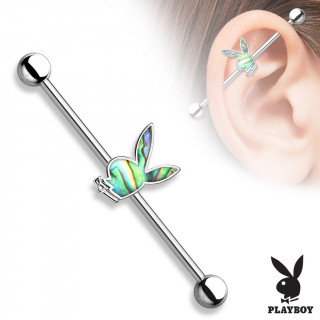 Piercing oreille industriel en acier  lapin Playboy en laiton couvert de nacre d'abalone