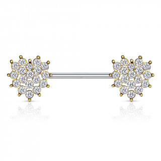 Piercing tton  coeur de strass - Dor et clair