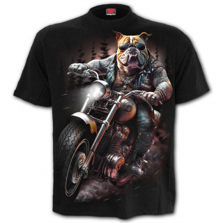 T-shirt homme  chien bulldog sur sa moto