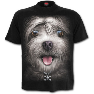 T-shirt mixte  chien avec collier tte de mort