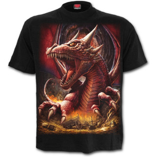 T-shirt homme gothique "Le reveil du Dragon