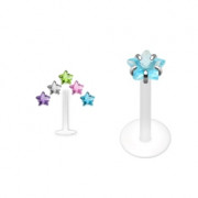Pack piercing labret PTFE �toile